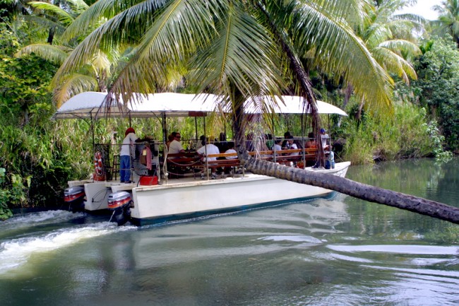 子供と行くグアム！年齢別おすすめオプショナルツアー10選 コンチャWEB