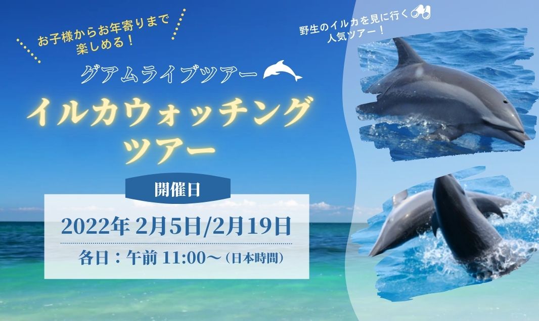 220205_onlinetour_image
