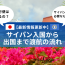 サイパン入国から出国まで